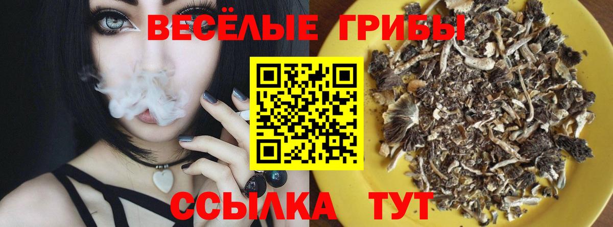 Псилоцибиновые грибы мицелий Верхняя Пышма