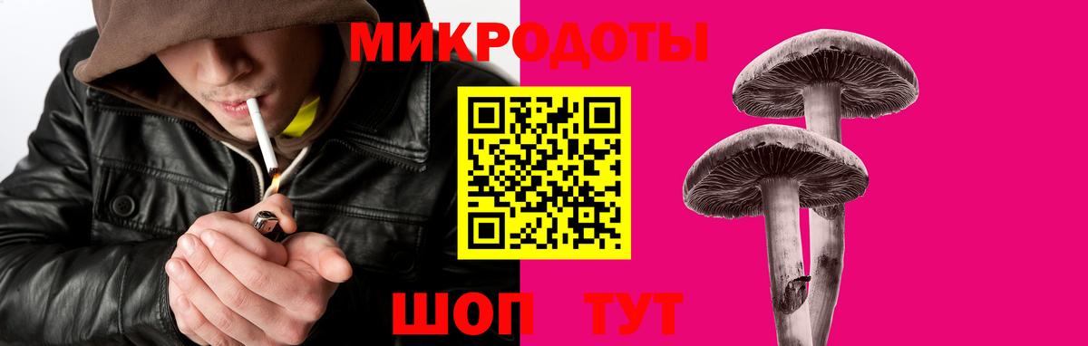 Верхняя Пышма  Галлюциногенные грибы Psilocybe  хочу наркоту  Вход с VPN 